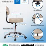 Boss Office AM Vinyl Be Well Medical Spa Professional Adjustable Stool with Back, Beige