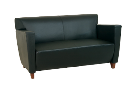 Black Leather Loveseat